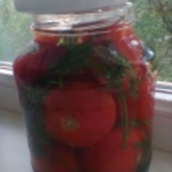 Быстрые соленые помидоры