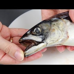 СКУМБРИЯ может удивить!