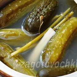 В чем различие между маринадом и рассолом?