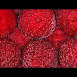 Это стоит записать! 7 неожиданно вкусных САЛАТОВ из обычной СВЁКЛЫ