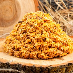 Как приготовить торт? 16 рецептов вкусных тортов