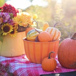 Советы для хозяйки: как хранить тыкву