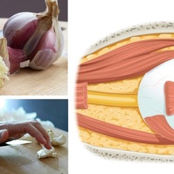 ЗРЕНИЕ - ЧЕСНОК - ХОЛЕСТЕРИН