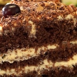 Шоколадный торт со сметанным кремом