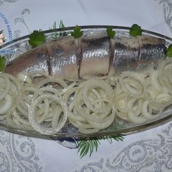 Как замариновать лук для селедки. Сочный и хрустящий маринованный лук с яблочным уксусом