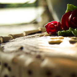 Торт из плавленых сырков