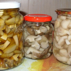 Самый вкусный рецепт маринования грибов!