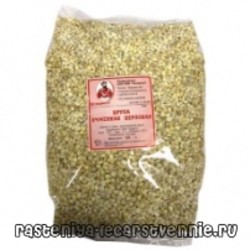 Как приготовить, сколько варить ячменную кашу на молоке?