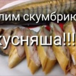 Скумбрия в бутылке: рецепт засолки настоящего деликатеса целиком в пластиковой таре с луковой шелухой и чаем в домашних условиях с фото | Кость широкая