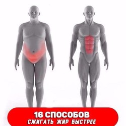 16 способов сжигать жир быстрее