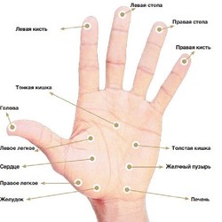 9 "БОЛЕУТОЛЯЮЩИХ КНОПОК" ОРГАНИЗМА 