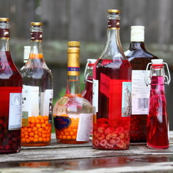 Настойки на водке в домашних условиях