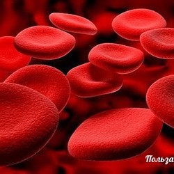 ОДИH ИЗ СПOСOБOВ ПОЧИCТИТЬ КPОВЬ!!!