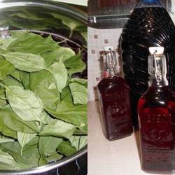 Наливка "100 листьев"