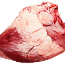 Что приготовить из говяжьего сердца - Все о еде и ее приготовлении - www.calorizator.ru