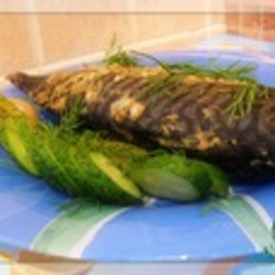 Скумбрия горчичная