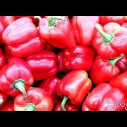 Фаршированный овощами перец на зиму