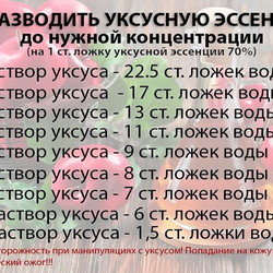 уксус из эссенции