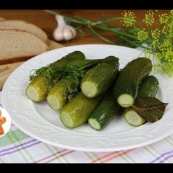 Хрустящие малосольные огурцы меньше чем за сутки