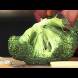 Принципы приготовления супа-пюре