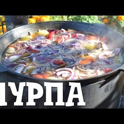 Шурпа