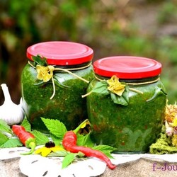 Зеленая аджика на зиму (острая, без стерилизации): рецепт с фото