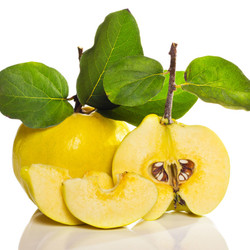 Как сушить айву в домашних условиях на зиму