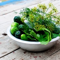 Малосольные огурцы в пакете