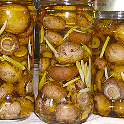 marinierte champignons