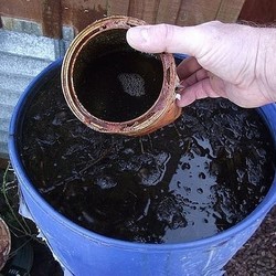 Удобрение "Байкал" для дачников своими руками.