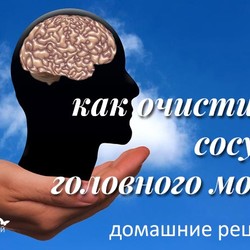 чистить сосуды головного мозга, атрофия зрительного нерва