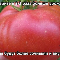 увеличить урожайность в 2-3 раза