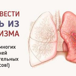 ВЫВЕСТИ СЛИЗЬ ИЗ ОРГАНИЗМА 