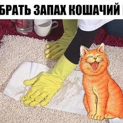 Как убрать запах кошачий мочи.