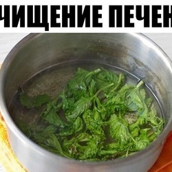 Очищение печени, ПОНИЗИТЬ ХОЛЕСТЕРИН...