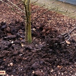 Сад и огород в октябре.