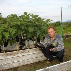 Высокие грядки, УДИВИТЕЛЬНЫЙ ОГОРОД ИГОРЯ ЛЯДОВА