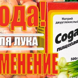 ПРИМЕНЕНИЕ СОДЫ ПРИ ПОСАДКЕ ЛУКА! СУПЕР СПОСОБ!