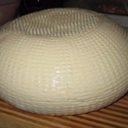 15 рецептов приготовления домашних сыров