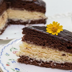 Покроковий рецепт кокосового торта Баунті