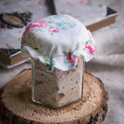 ЗАКВАСКА ПО ПРОФ. Б.Г. САРЫЧЕВУ РЖАНАЯ