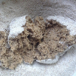 Ржаная закваска по Б.Г.Сарычеву