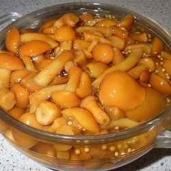 Маринад для грибов