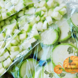 Заморозка кабачков на зиму: тертые и кружочками