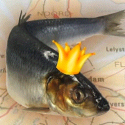 Как засолить селедку целиком — вкусные рецепты в домашних условиях