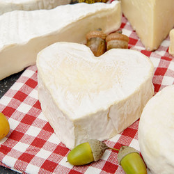 Французский сыр Нёшатель из коровьего молока — РЕЦЕПТЫ СЫРОВ