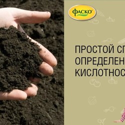 кислотность почвы