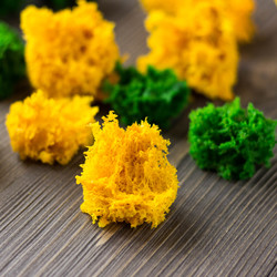 Мох для декора