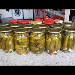 Огурцы на Зиму БЕЗ УКСУСА! БЕЗ КИПЯТКА! Ответы на вопросы. Выпуск №533