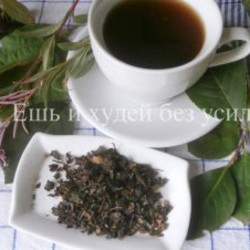 Ферментированный чай из листьев садовых и диких растений в домашних условиях